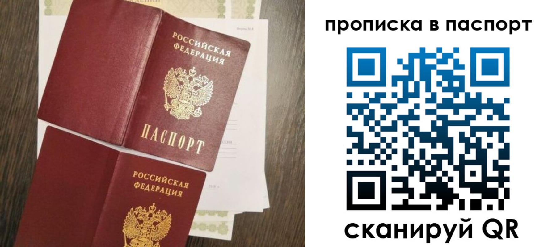 прописка гарантия в Емве